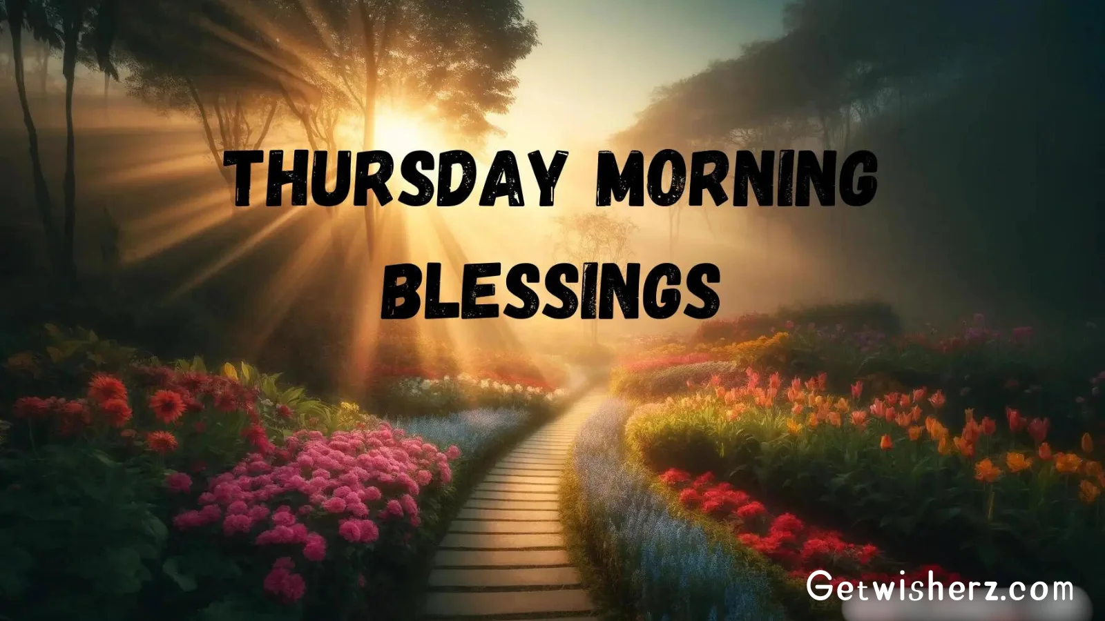 Thursday Morning Blessings