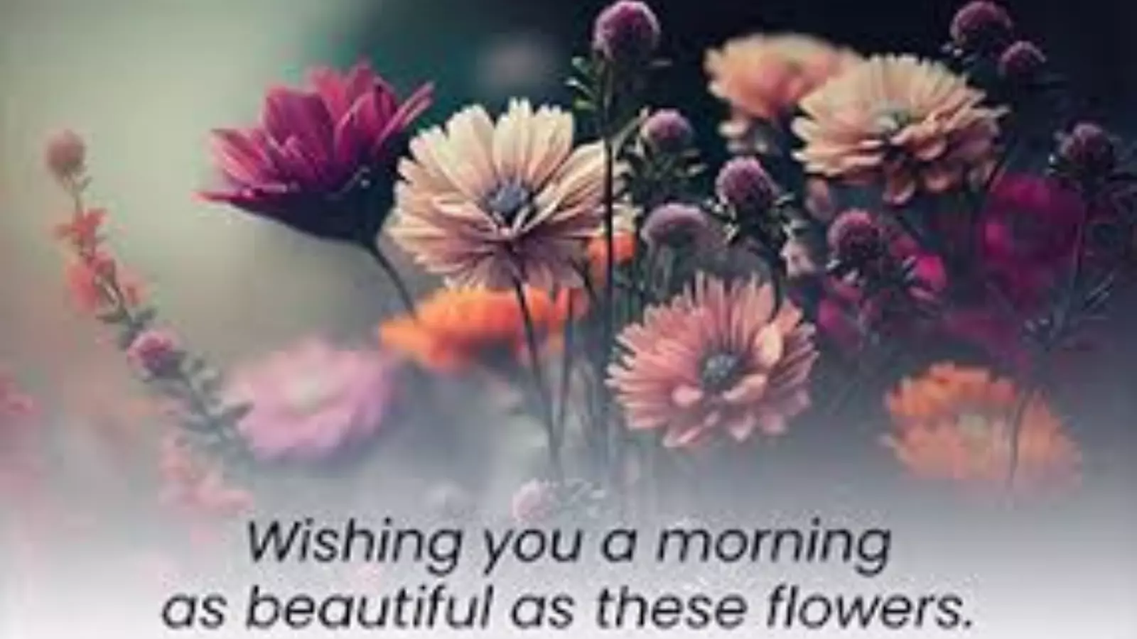 Good Morning Flower Messages